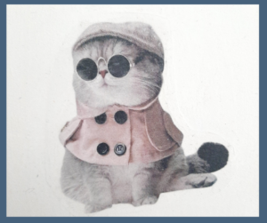 Le chat deguisé